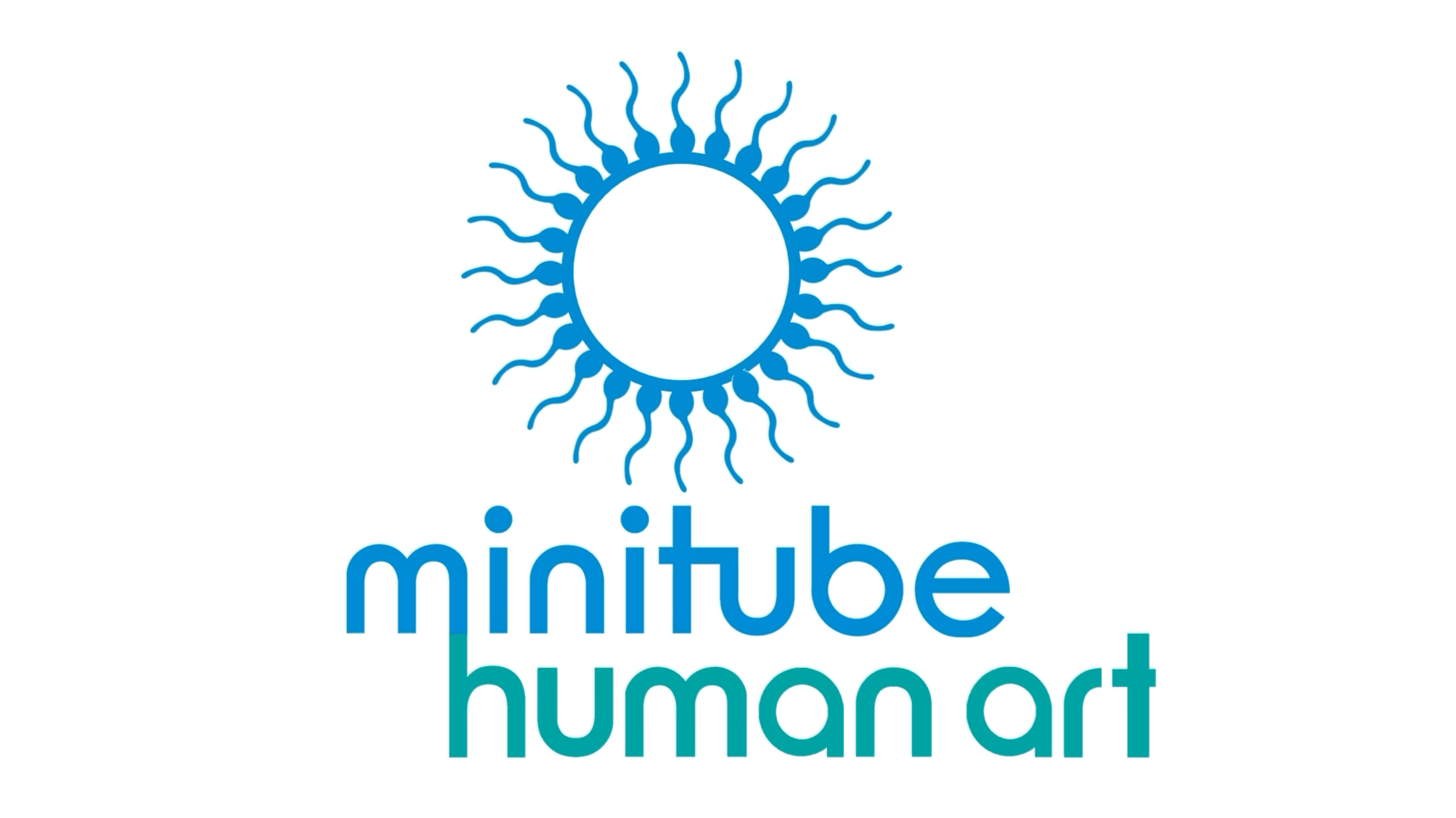 Official corporate logo of Minitube Human ART, featuring a blue circular emblem stylized with sperm cells swimming around a central ring, above the lowercase typography 'minitube' in blue and 'human art' in teal.